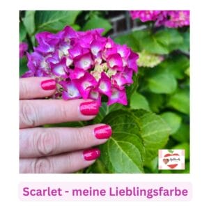 Manifix UV Folie Scarlet – Meine Liebe zu UV Folien und Blumen im Garten