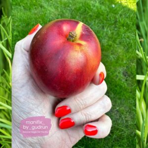 Naturnagelverstärkung 4 Trend Nails 2025