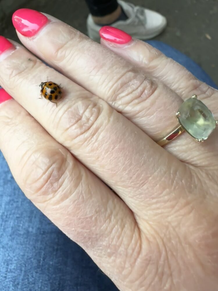 Pinke Fingernägel 3 Fakten warum sie gerade angesagt sind (3)